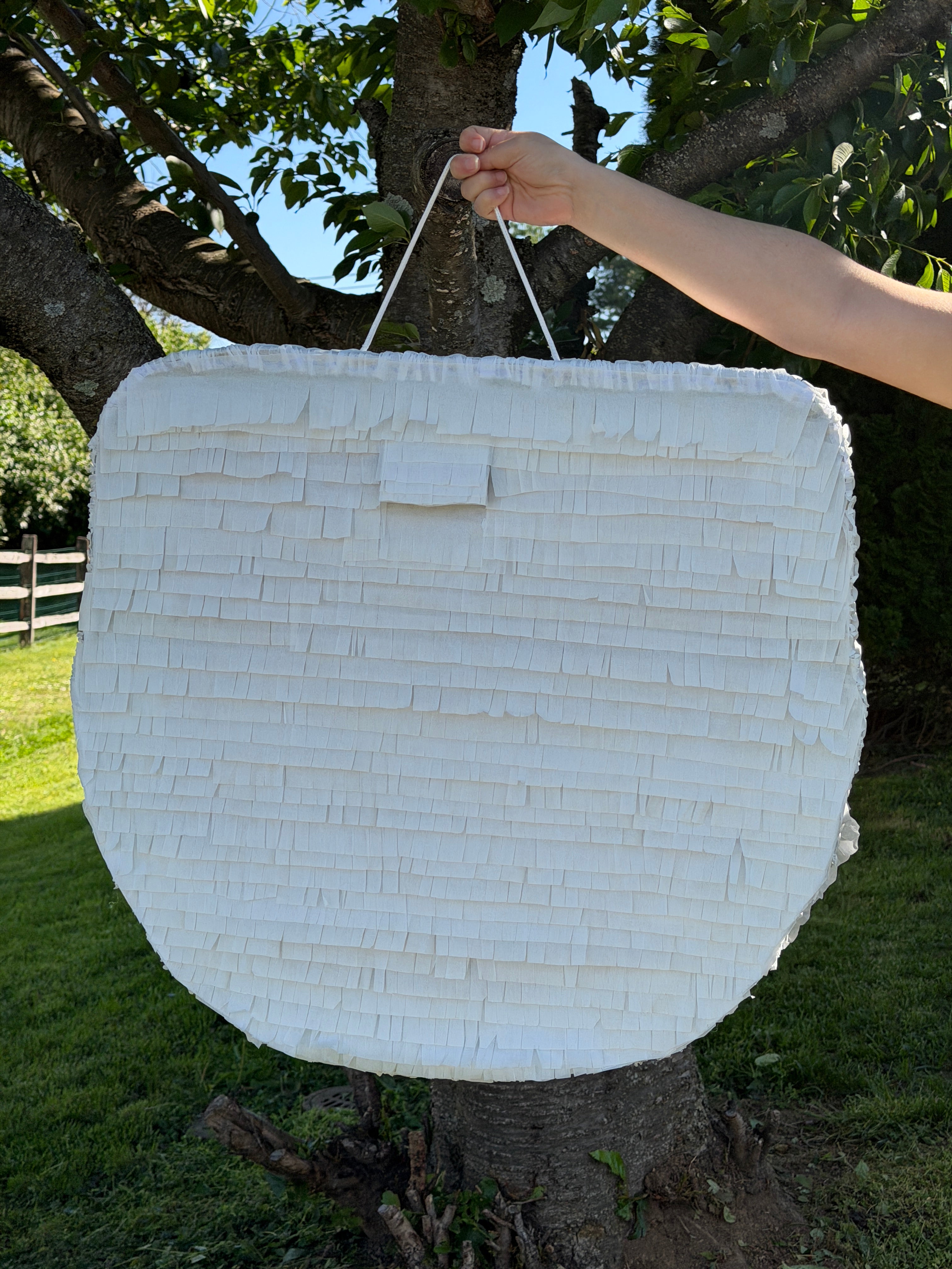 2ft Non-Character Piñata