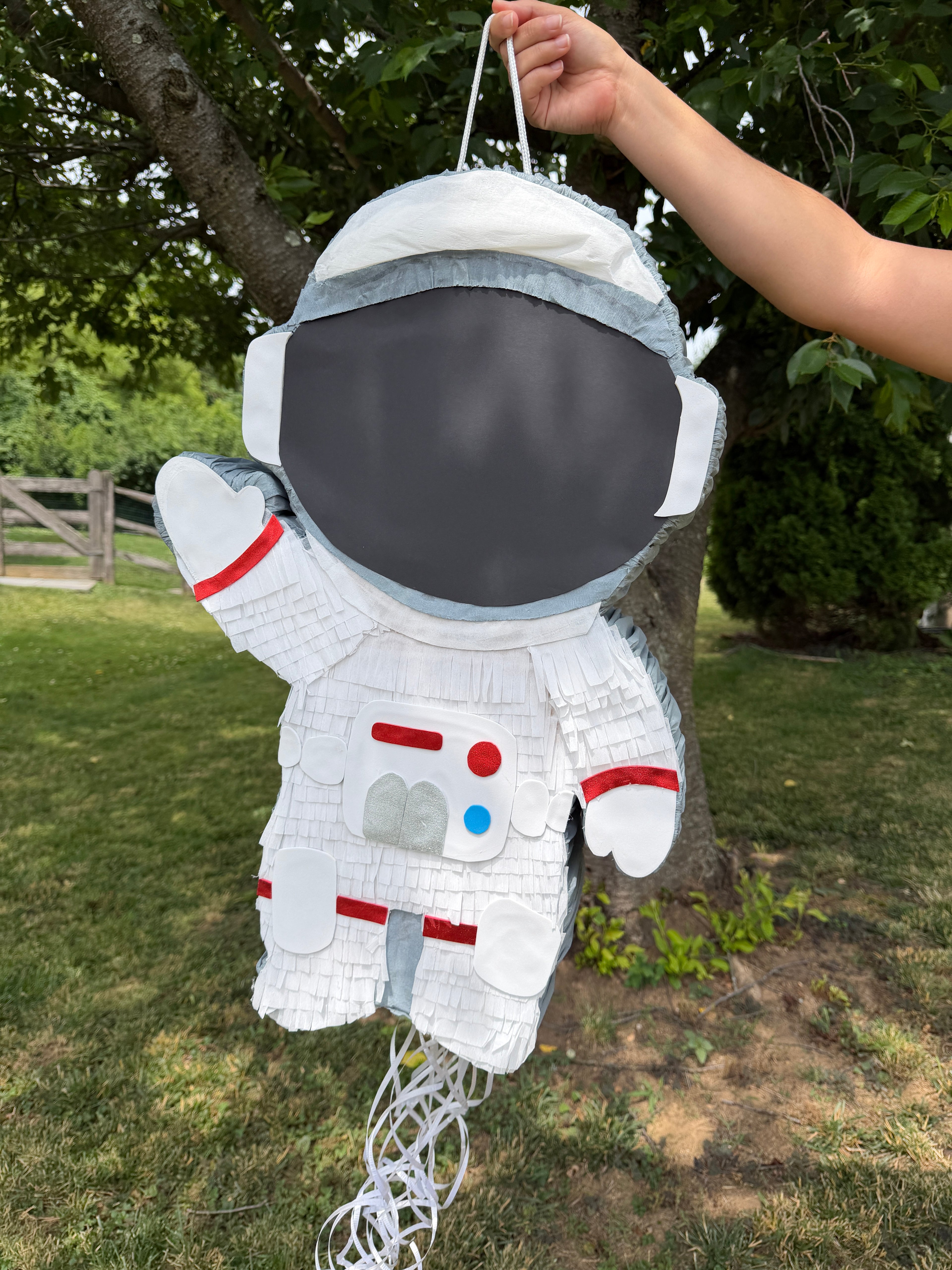 2ft Non-Character Piñata