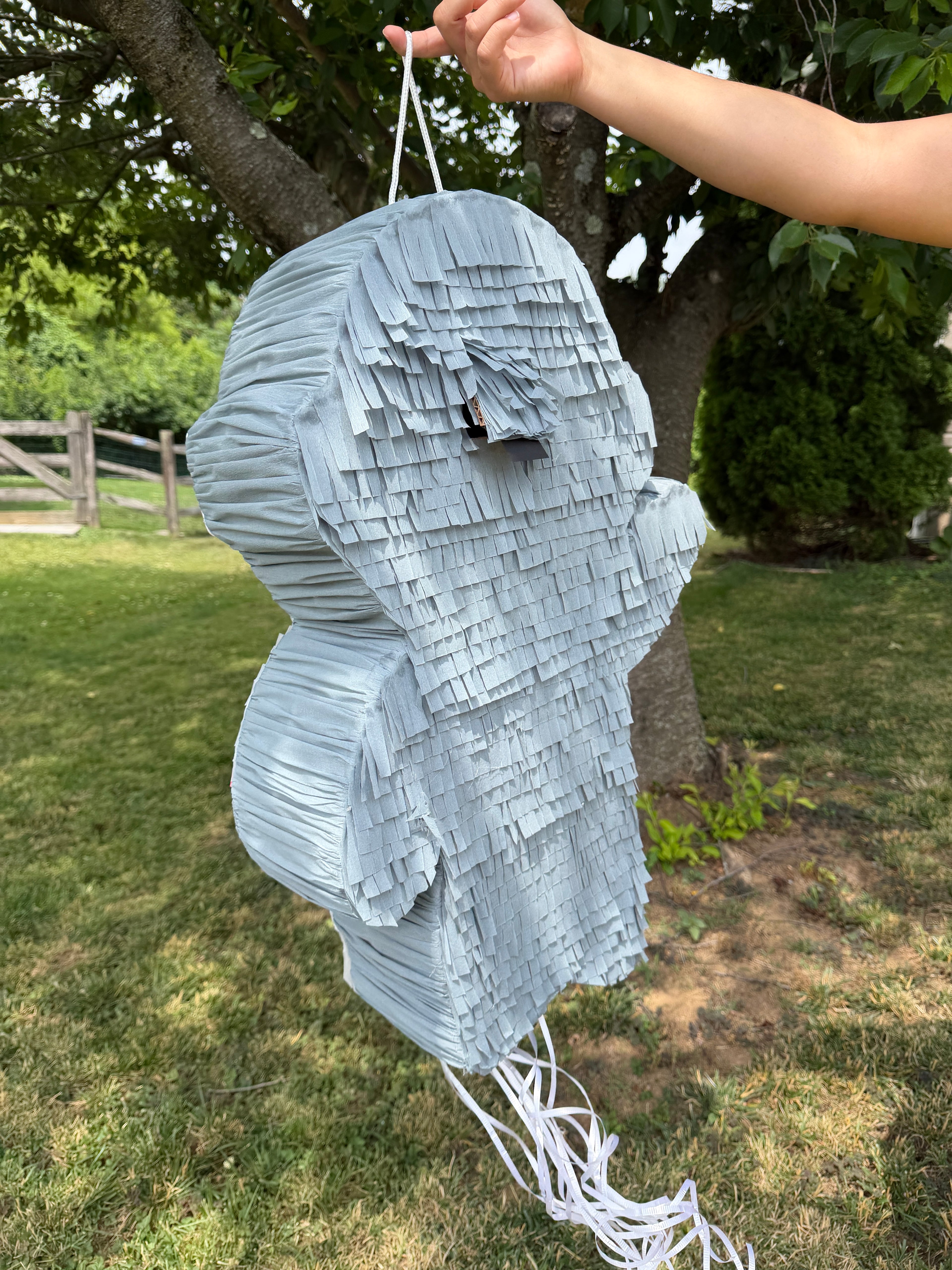 2ft Non-Character Piñata