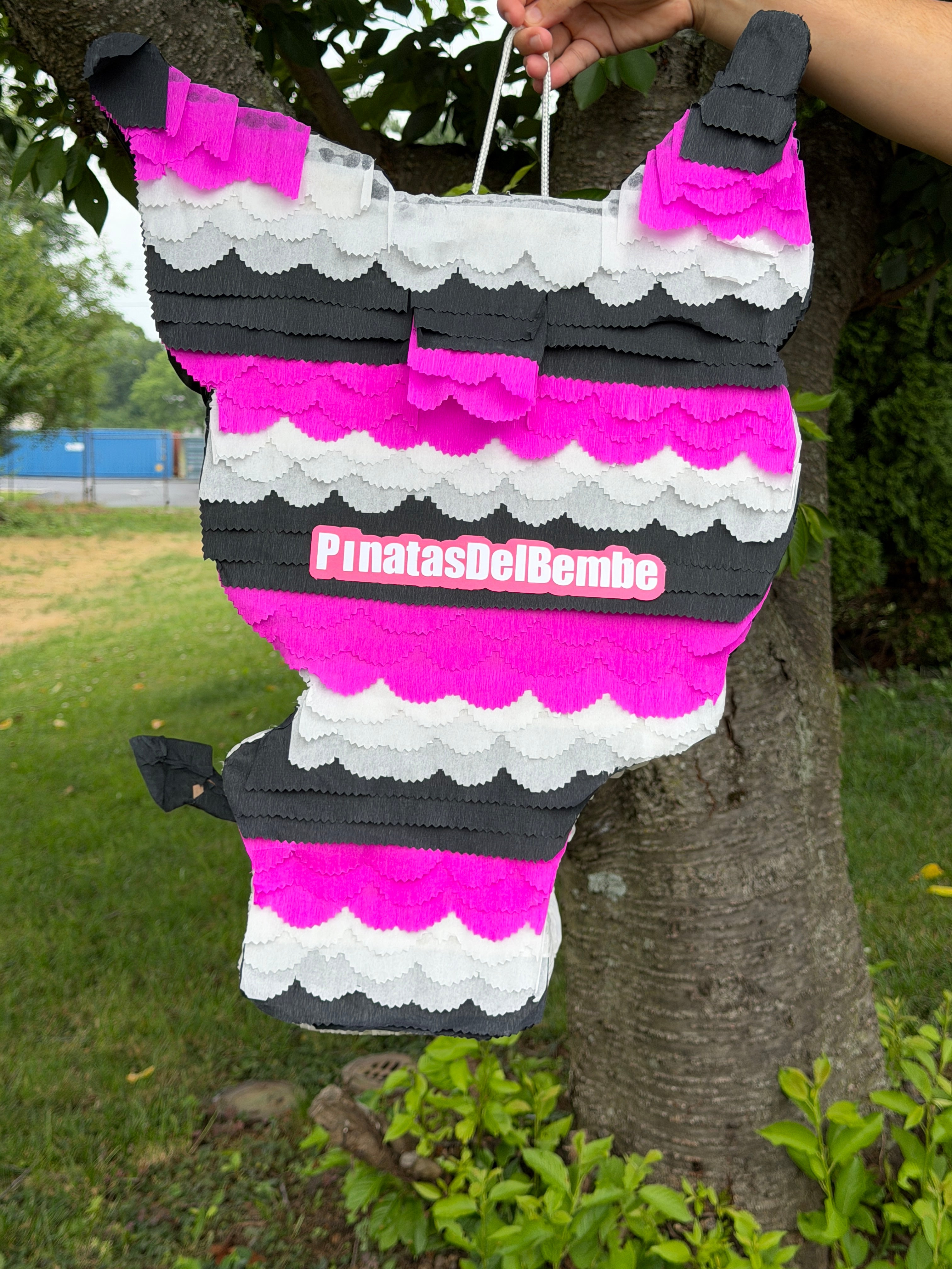 2ft Character Piñata